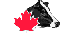 Holstein Canada
